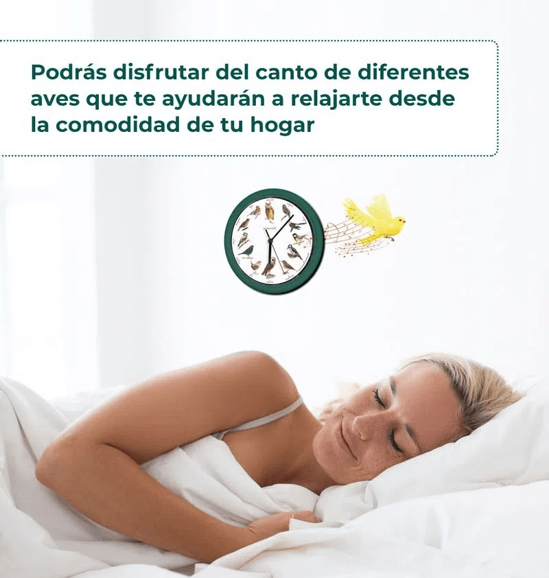 Reloj de pared con sonido de canto de pajaros - Starlyf Birdsong Clock