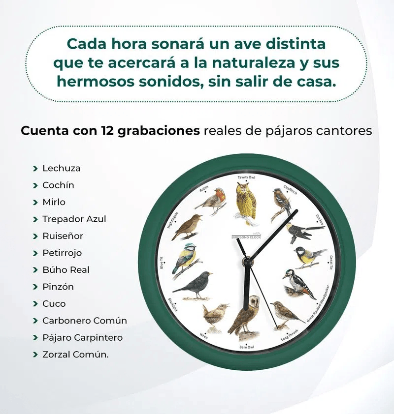 Reloj de pared con sonido de canto de pajaros - Starlyf Birdsong Clock