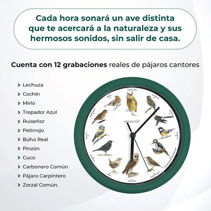 Reloj de pared con sonido de canto de pajaros - Starlyf Birdsong Clock