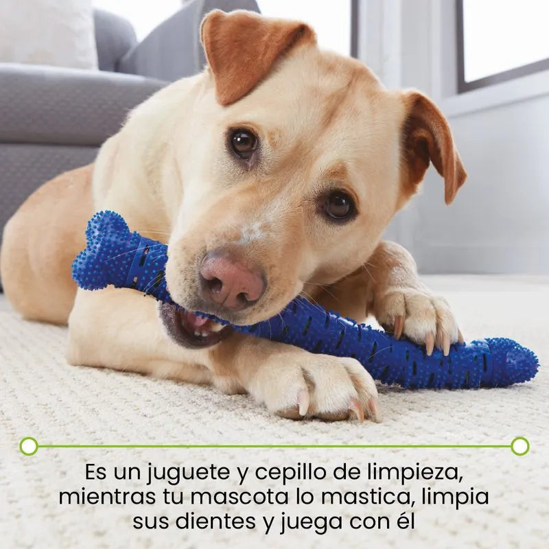 Cepillo de dientes para perro Chewbrush