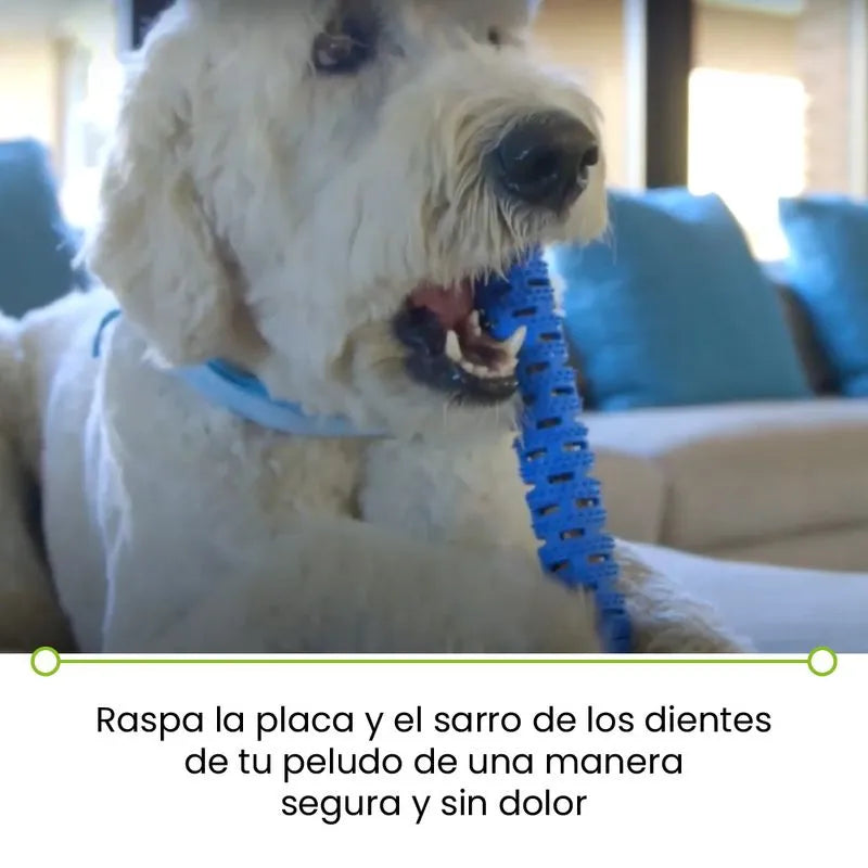 Cepillo de dientes para perro Chewbrush