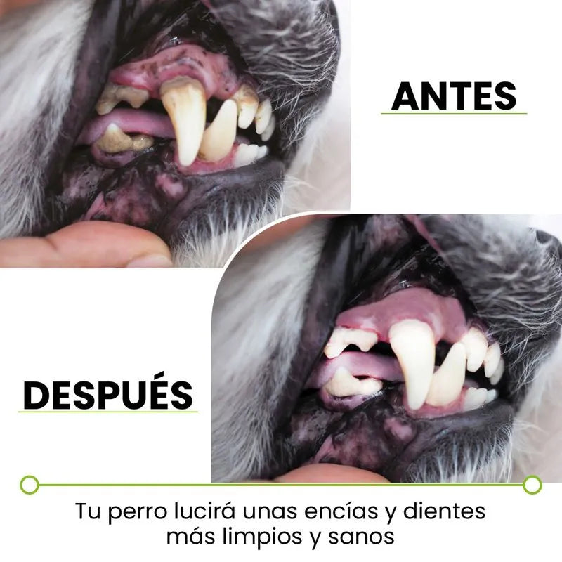 Cepillo de dientes para perro Chewbrush