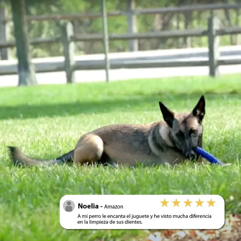 Cepillo de dientes para perro Chewbrush