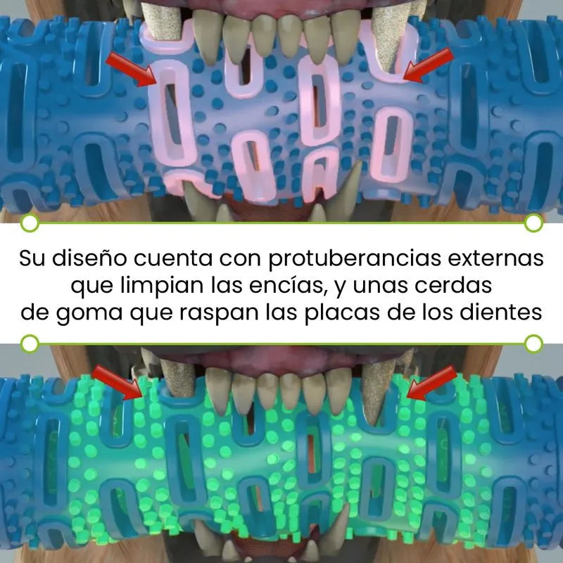 Cepillo de dientes para perro Chewbrush