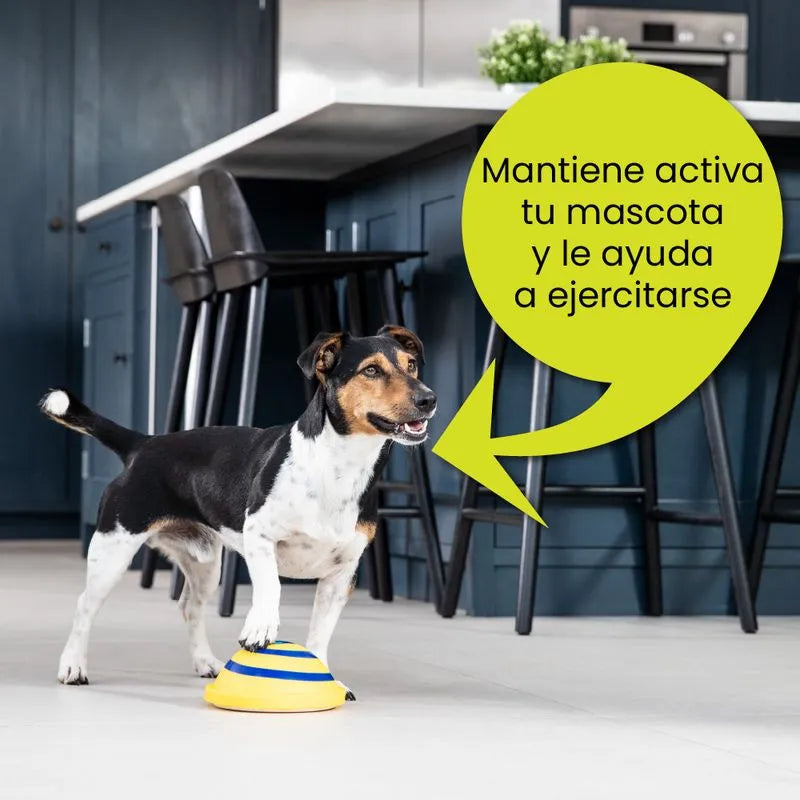 Juguete para perros Woof Glider