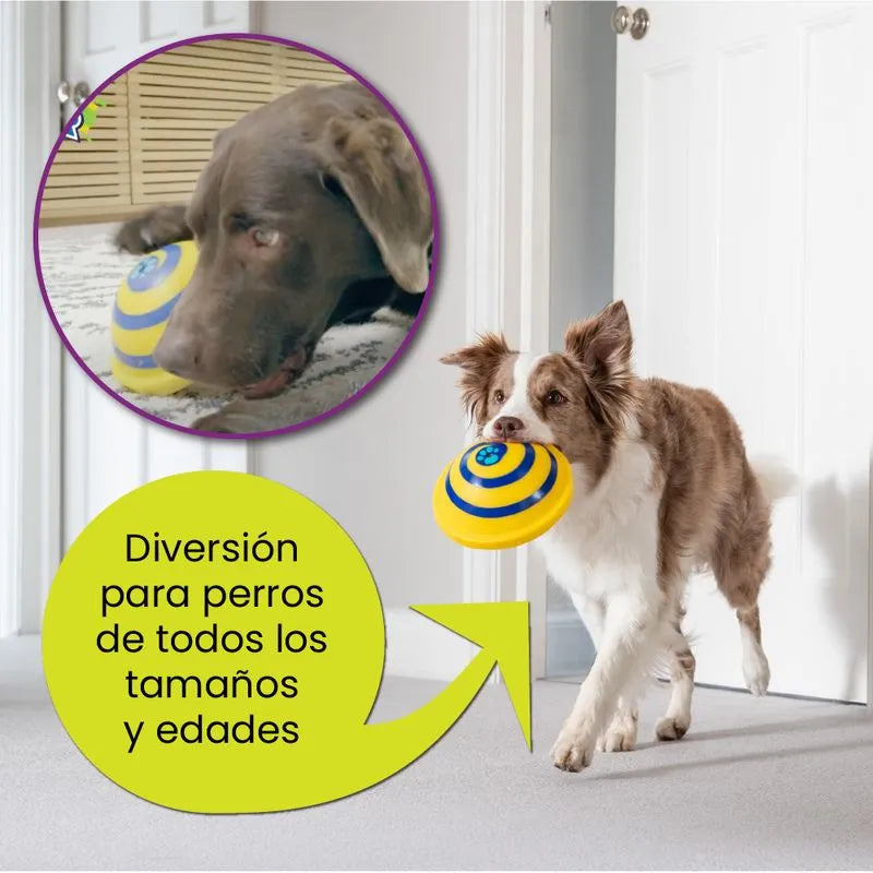 Juguete para perros Woof Glider